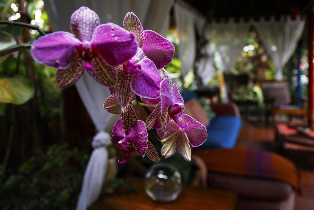 Villa Dazkarizeh73 Ribeira Brava Esterno foto